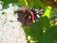 DSC00518.webp