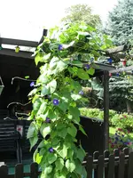 10.08.09 016.webp