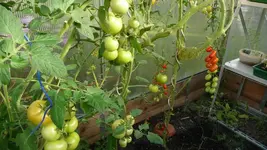 K800_P1020788.webp