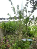 IMG_4913.webp