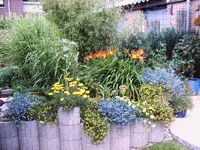 IMG00002.webp
