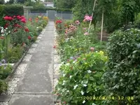 JD500035.webp