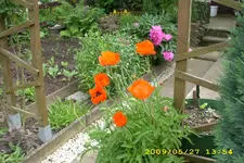 JD500125.webp