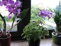 12.08.09 004.webp