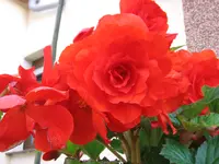 IMG_5769.webp