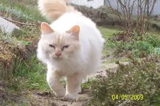 100_1401[1].webp