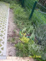 100_2042.webp