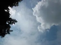 13.08.2009 001.webp