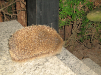 IMG_2380.webp