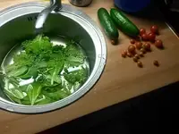 20160723_172946.jpg