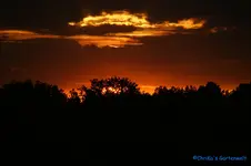 comp_DSC05551.webp