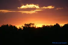 comp_DSC05553.webp