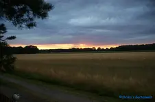 comp_DSC05554.webp