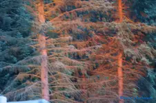 comp_DSC05558.webp