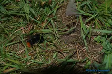comp_DSC05561.webp
