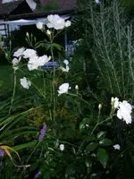2016-07-20 Schneewittchen.JPG