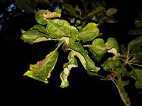 PHOTO_20160723_213750.webp