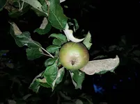 PHOTO_20160723_213756.webp