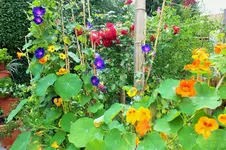 DSCF6919 (2).webp