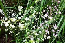 DSCF6903 (2).webp