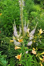 DSCF6912 (3).webp