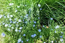 DSCF6921 (2).webp