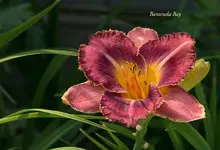 IMG_4695-2.webp