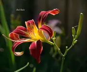 IMG_4716-2.webp