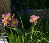 IMG_4736-2.webp