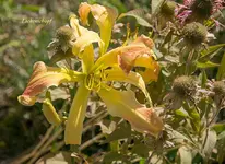 IMG_4744-2.webp