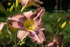 IMG_4756-2.webp