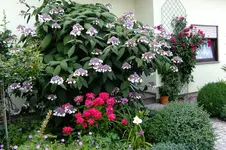 2016_07233april20160051.webp