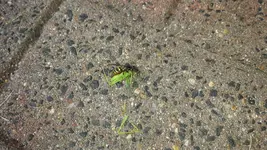 20160724_095411.jpg