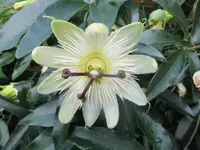 Bilda012.webp