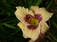 DSCI4363.webp
