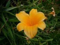DSCI4373.webp