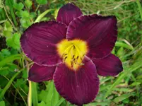 DSCI4369.webp