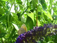 020.webp