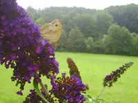 012.webp