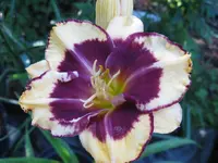 010_1024x768.webp