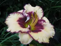 maureen faber 3_1024x768.webp