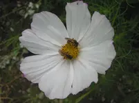015.webp