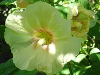 012.webp