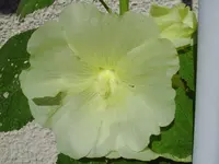 013.webp