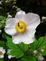 P1120737.webp