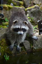 DSC_7954.webp