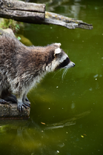 DSC_7962.webp