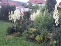 160724 Gespenster im Garten.webp