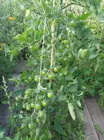 20160724_195157_b.webp