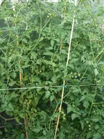 20160724_195234_b.webp